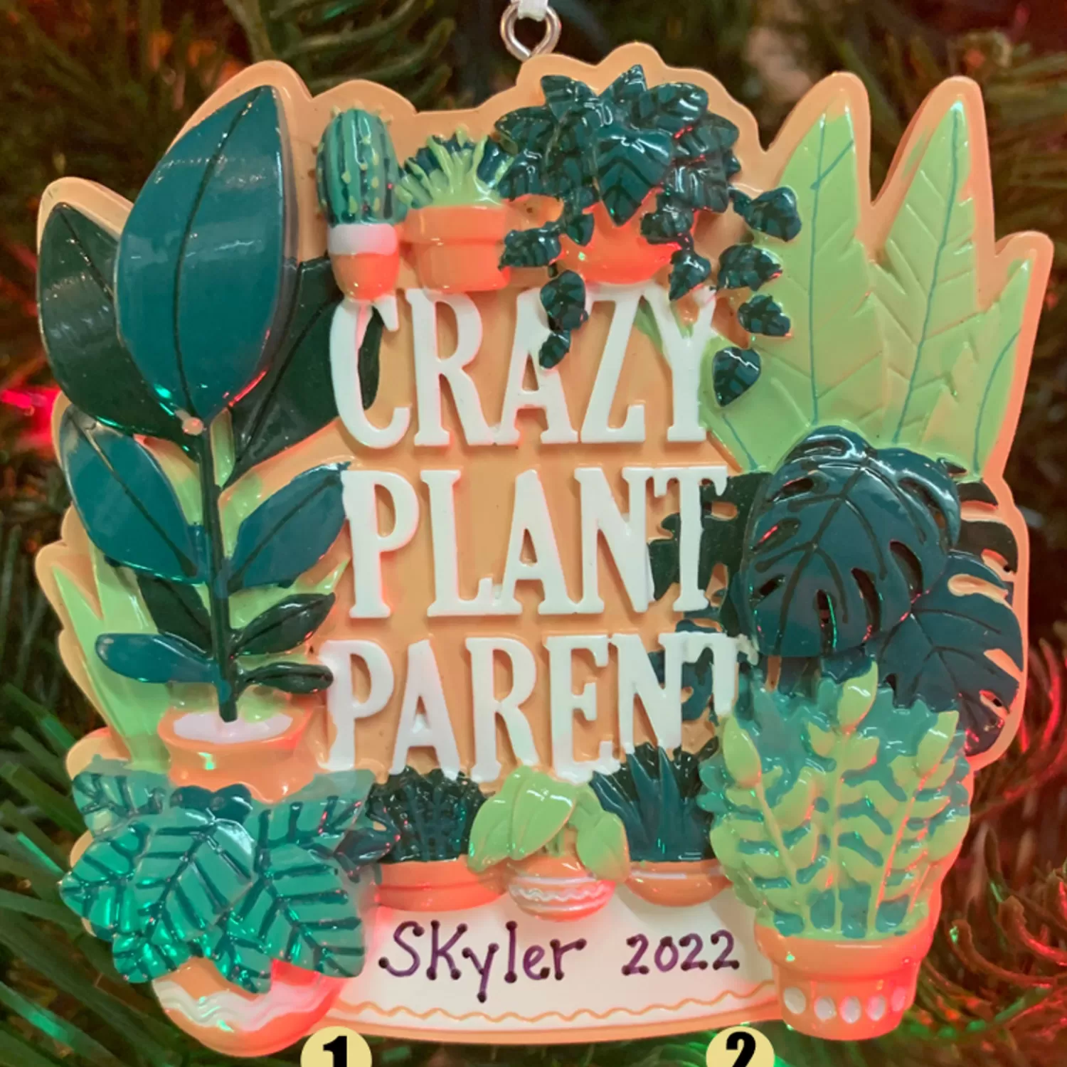 The Jolly Christmas Shop Personalized Ornaments·New Parents | Personalized Ornaments·Misc. | Crazy Plant Parent House Plants Personalized Christmas Ornament OR2288