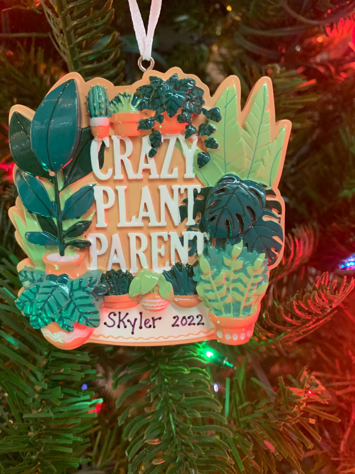 The Jolly Christmas Shop Personalized Ornaments·New Parents | Personalized Ornaments·Misc. | Crazy Plant Parent House Plants Personalized Christmas Ornament OR2288