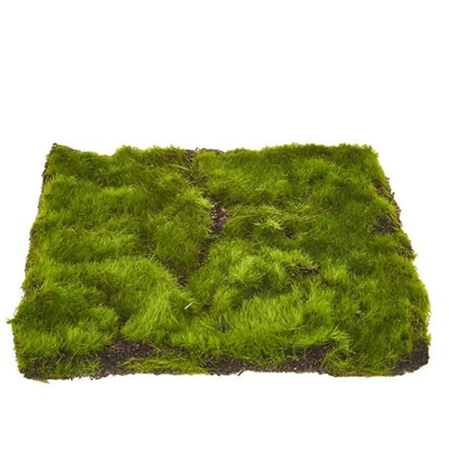 The Jolly Christmas Shop Picks And Sprays | Raz 11.5" Sheet Of Moss Decoration 4222701