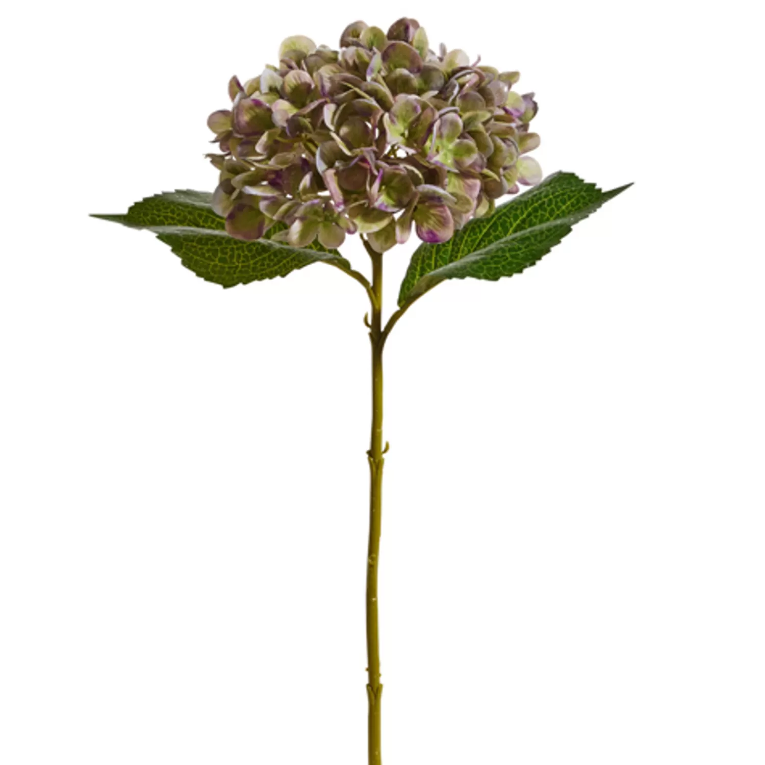 The Jolly Christmas Shop Oh Night Divine | Sprays, Picks, Stems | Raz 18" Green And Purple Hydrangea Stem Christmas Tree Accessories F4422761