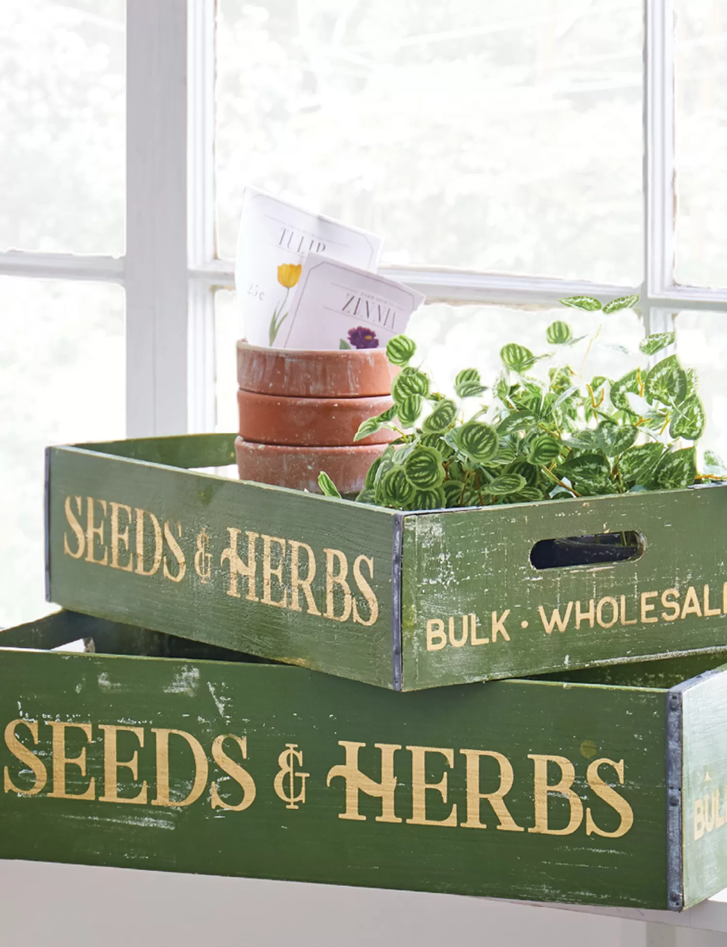 The Jolly Christmas Shop Signs | Novelties | Raz 18" Seeds And Herbs Crates Set Of 2 4211218
