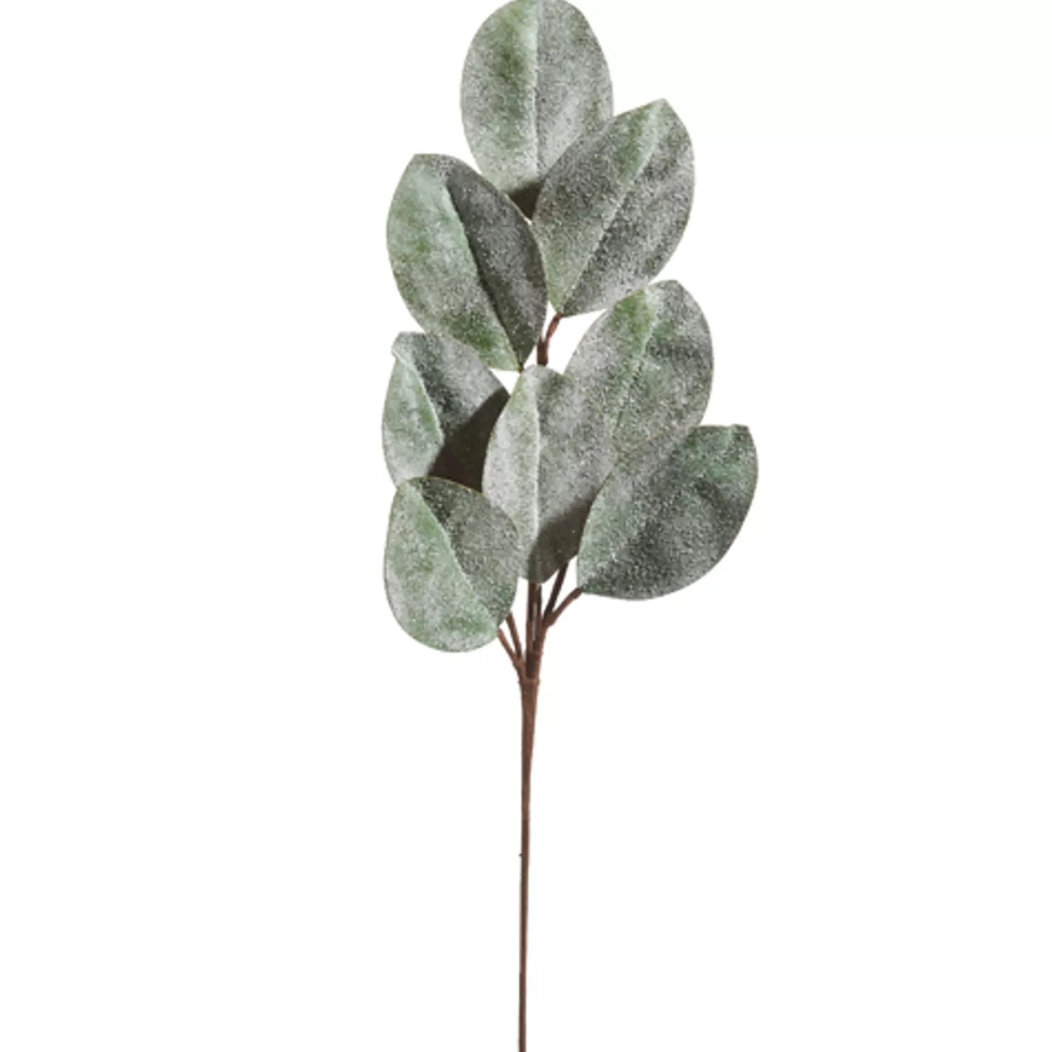 The Jolly Christmas Shop Snowflake Soiree | Sprays, Picks, Stems | Raz 25.75" Iced Magnolia Leaf Spray Christmas Tree Spray F4406670