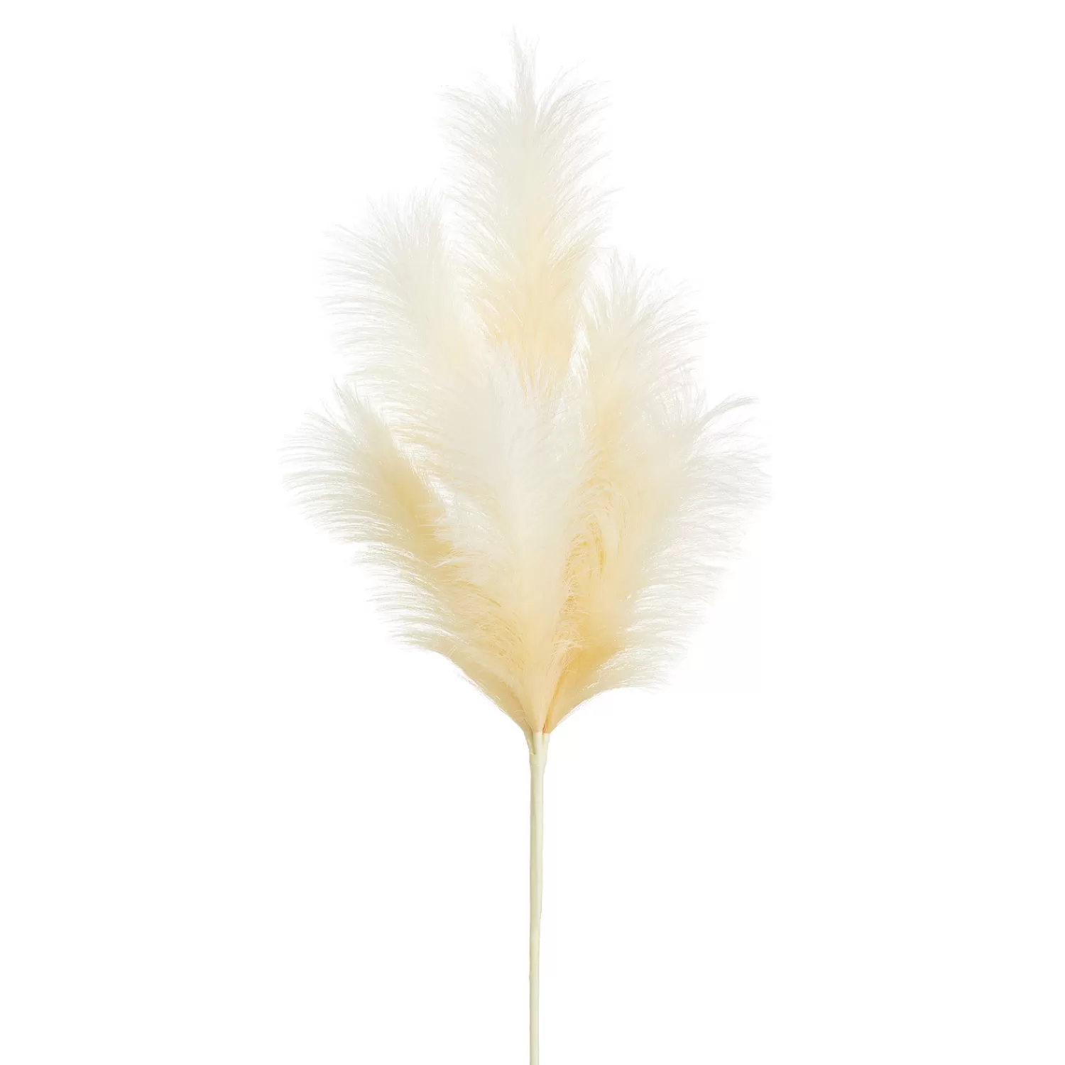 The Jolly Christmas Shop Sprays, Picks, Stems | Raz 28" Artificial Pampas Spray Realistic Look F4302398