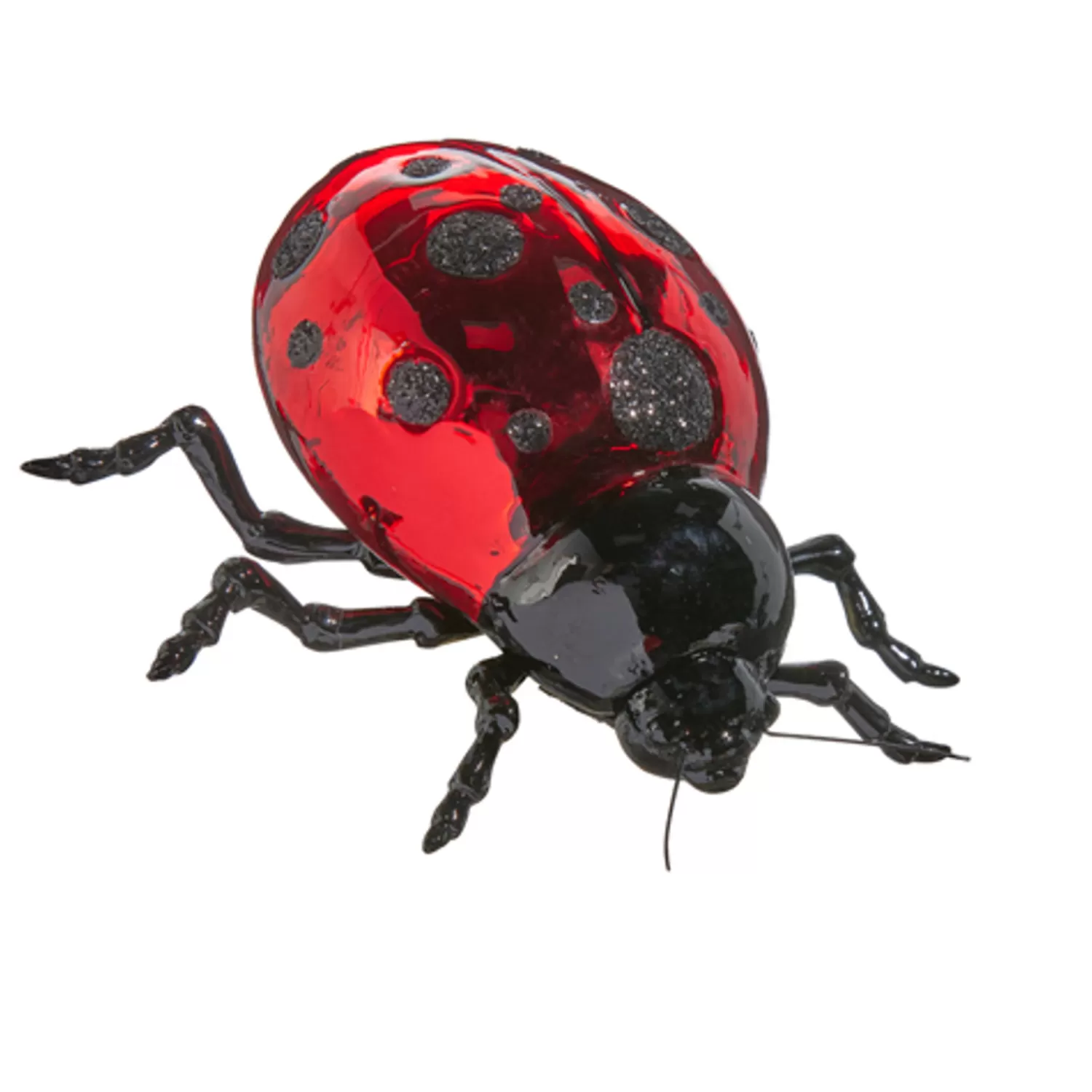 The Jolly Christmas Shop Eric Cortina | Woodland Wonder | Raz Eric Cortina 4" Ladybug Glass Christmas Ornament 4453152