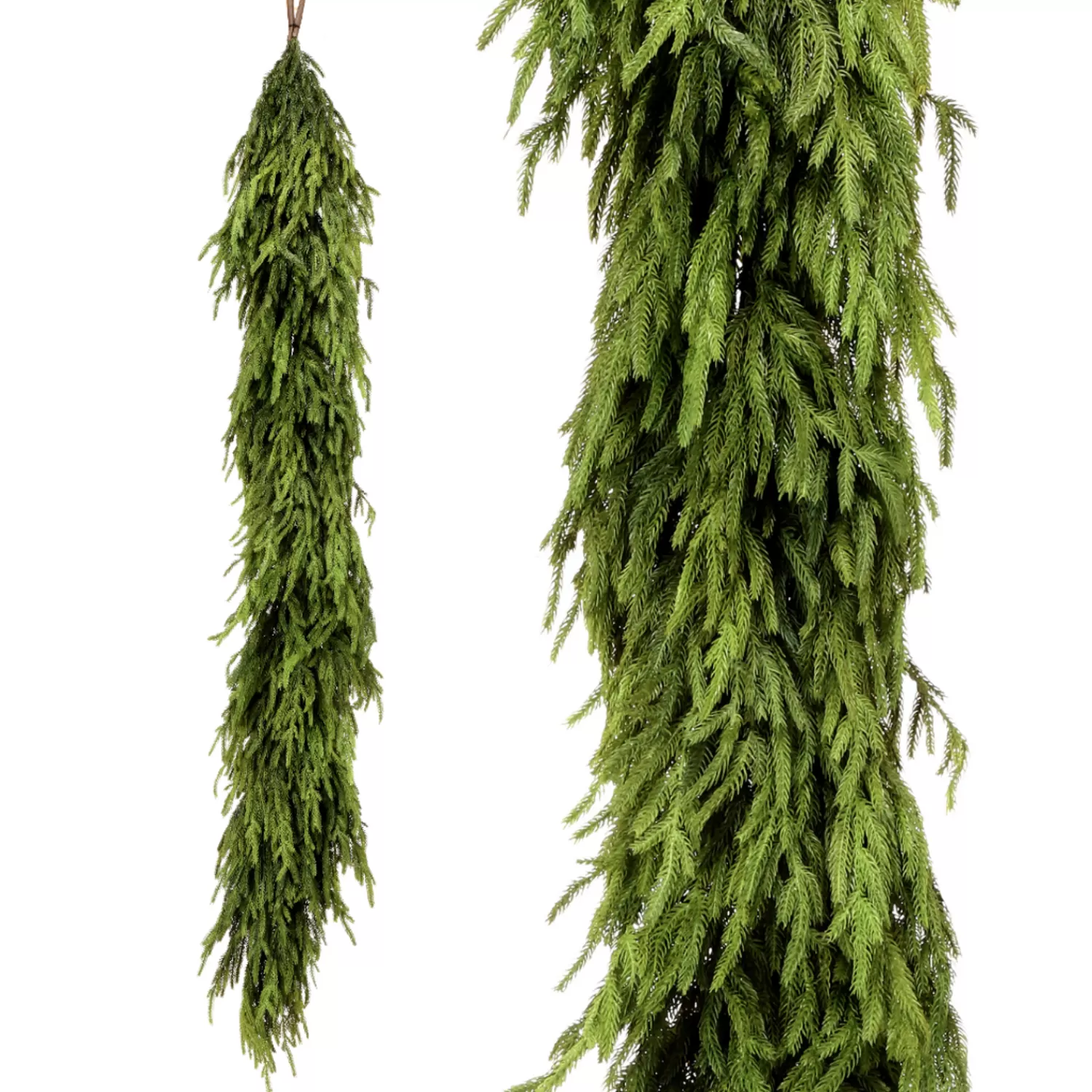 The Jolly Christmas Shop Gingerbread | Tinsel Town | Regency 6' X 16" Natural Real Feel Norfolk Pine Christmas Garland MTX73277